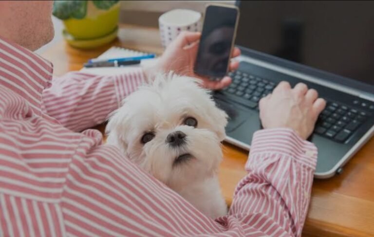 Digital Paw-some: The Future of Online Dog Marketing is Bright